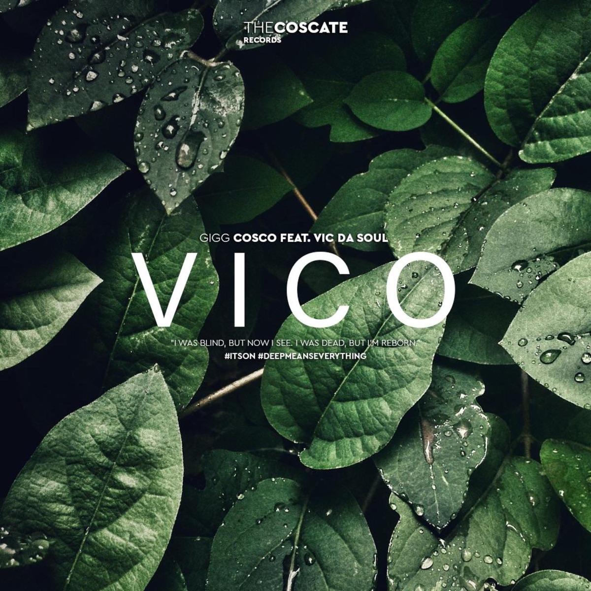 V I C O (feat. Vic Da Soul) - Single by Gigg Cosco album cover