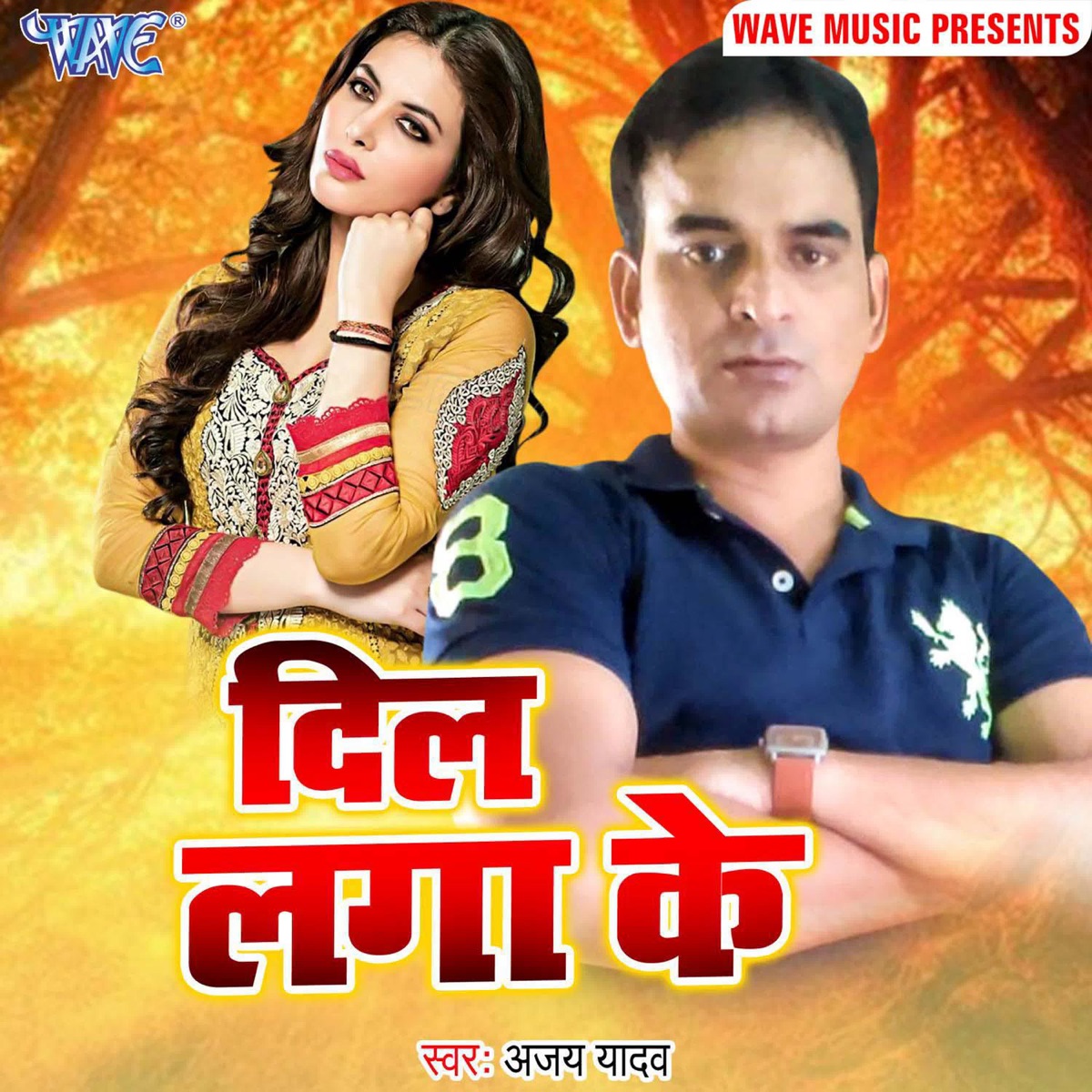 Dil Lagake - Single by Ajay Yadav album cover