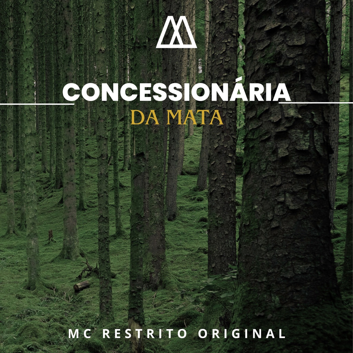 Concessionária da Mata (feat. MAK ZERO ONZE) - Single by MC RESTRITO ORIGINAL album cover