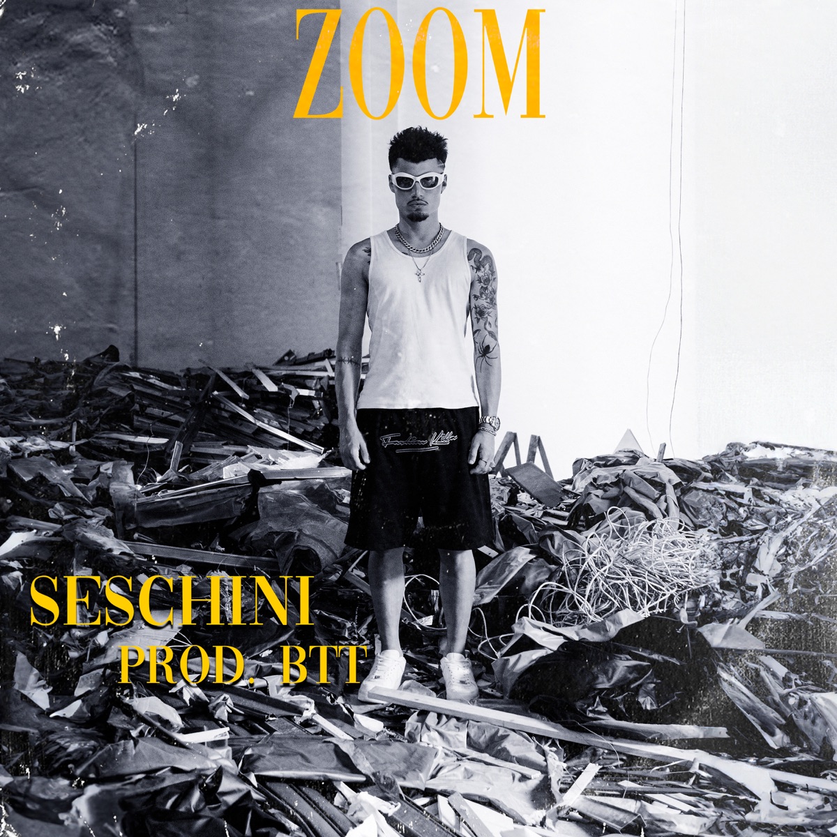 Zoom - Single by Seschini album cover