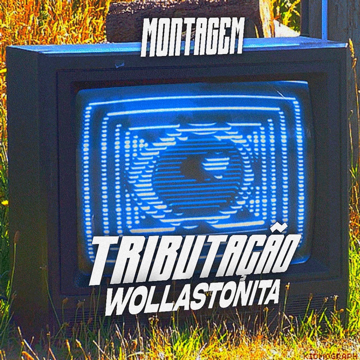 MONTAGEM TRIBUTAÇÃO WOLLASTONITA - Single by DJ Falk Original album cover