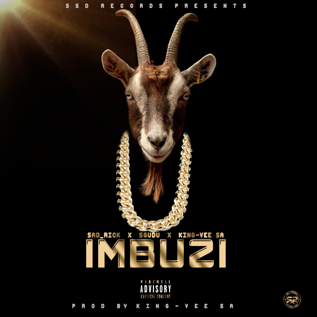 Imbuzi - Single by Sadrick, King-Vee SA & Sgudu album cover