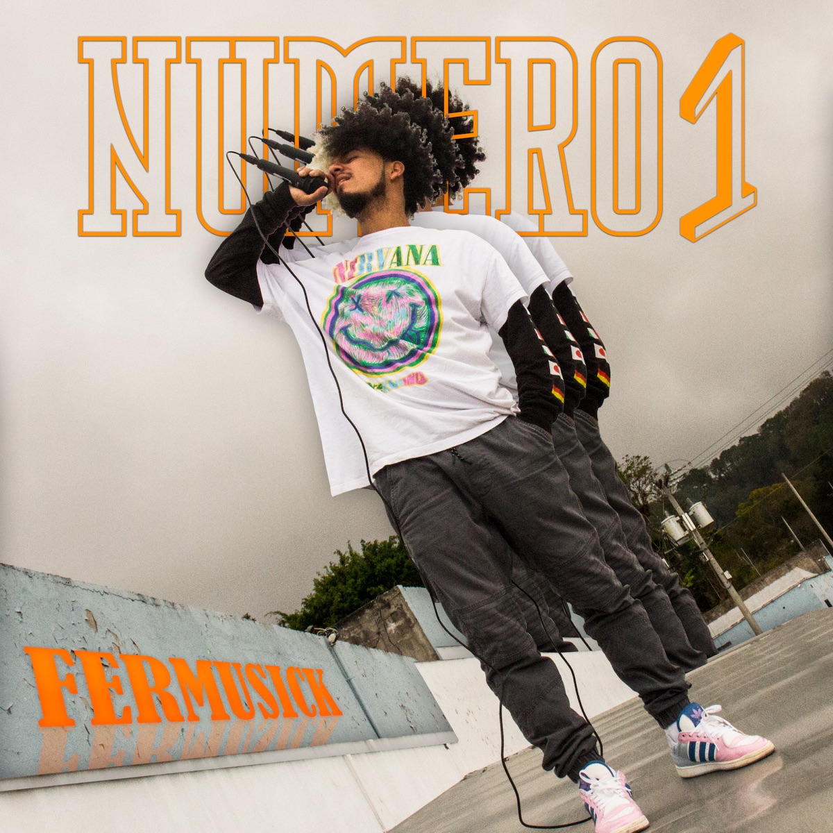 Numero 1 - Single by Fermusick album cover
