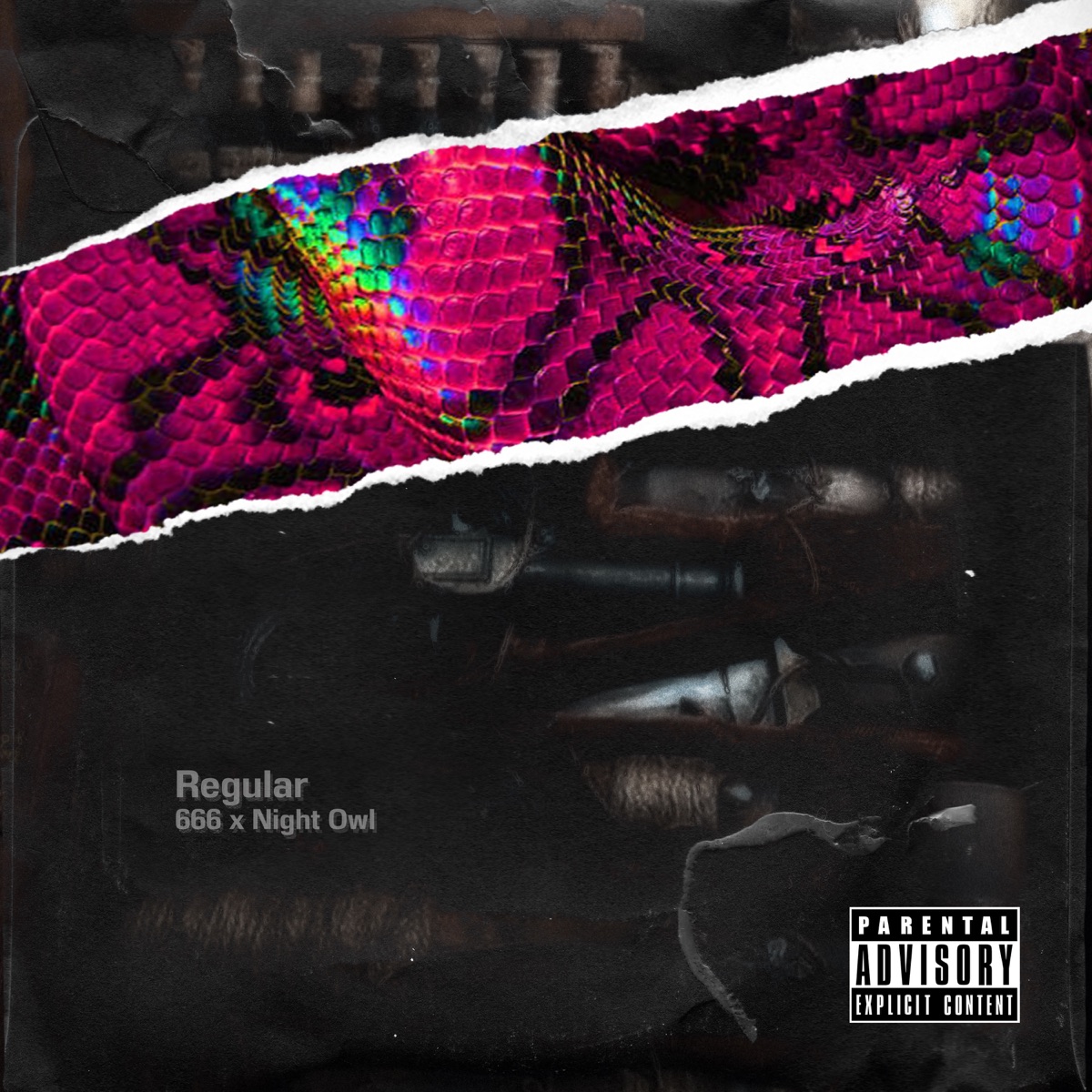 Regular - Single by 666 Gxng, Anuz, Mc blue, JasonX & Whysir album cover