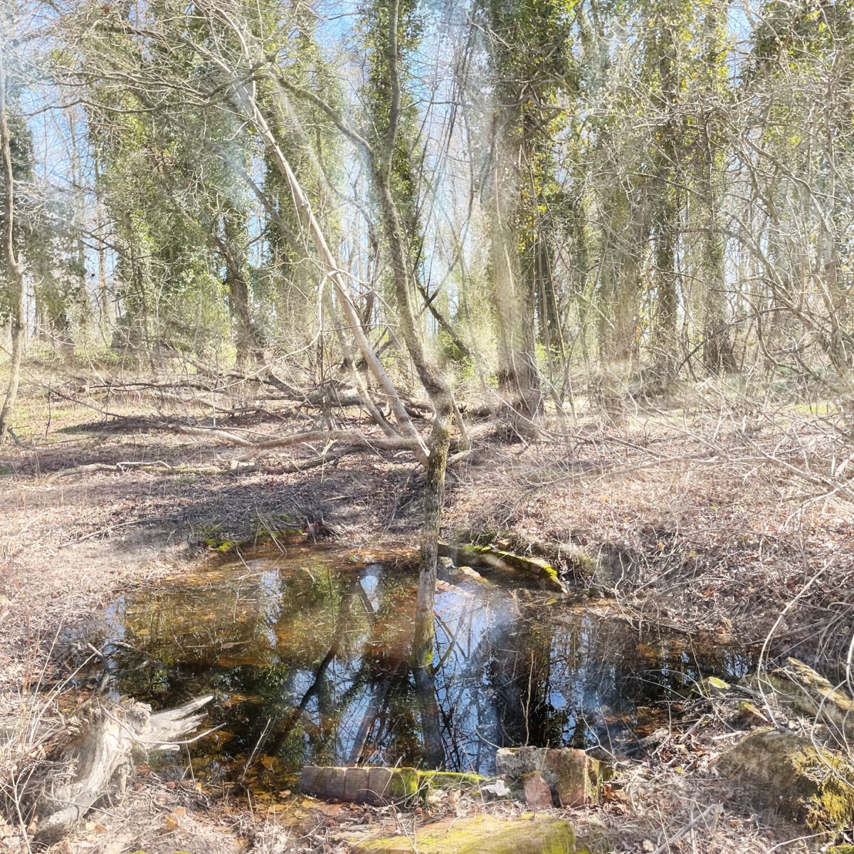 Hurt - Single by Sum-1 album cover