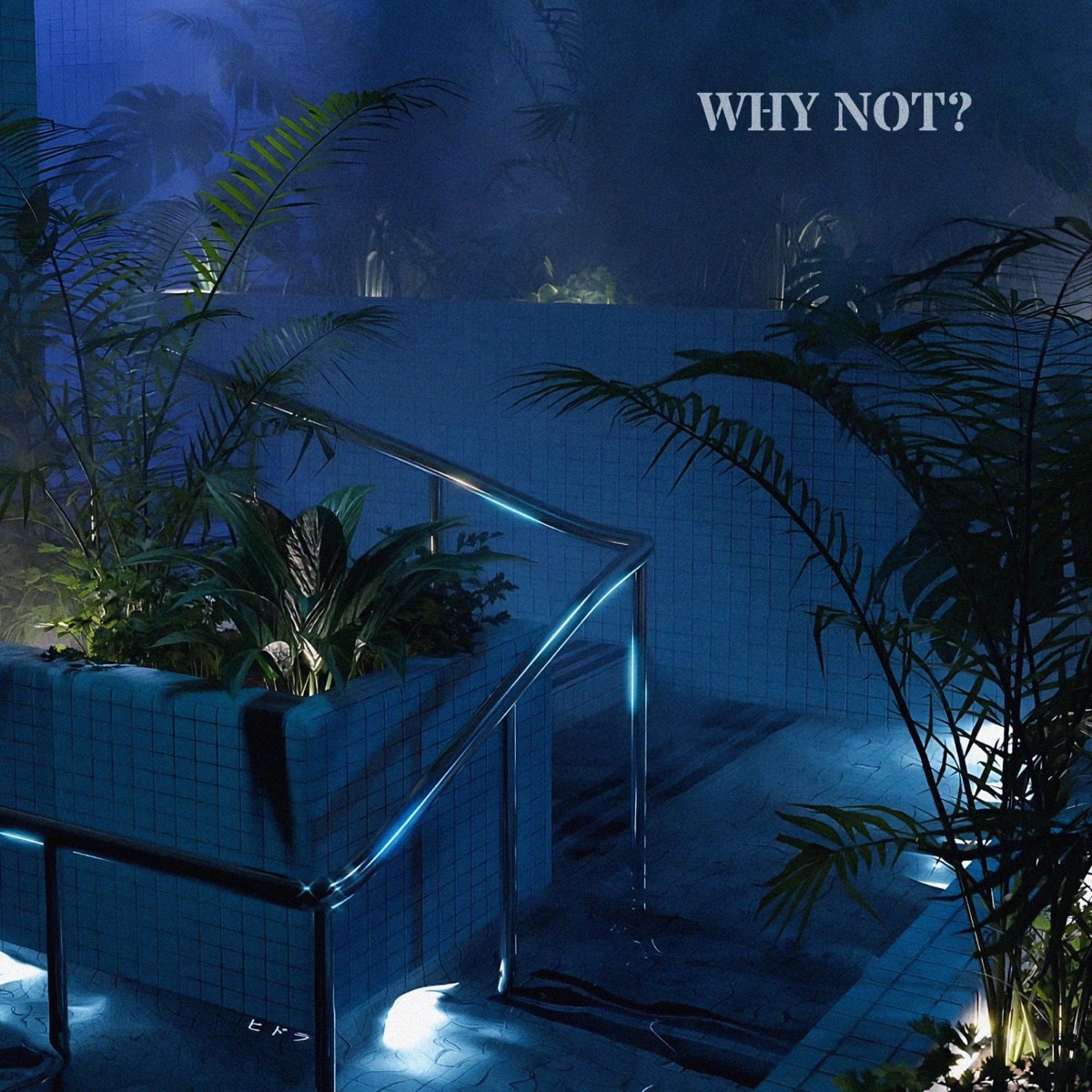 Why Not? - Single by DSCOFF album cover