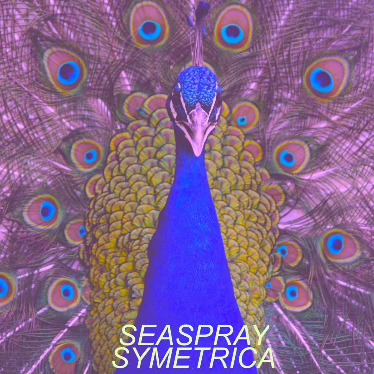 Symetrica - Single by Seaspray album cover