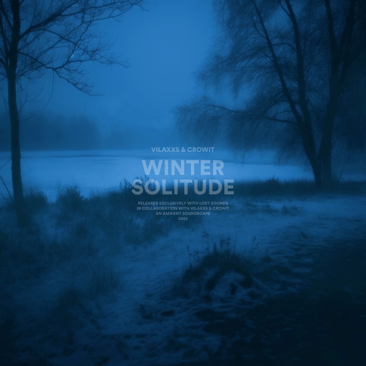 Winter Solitude - Single by Vilaxxs & crowit. album cover