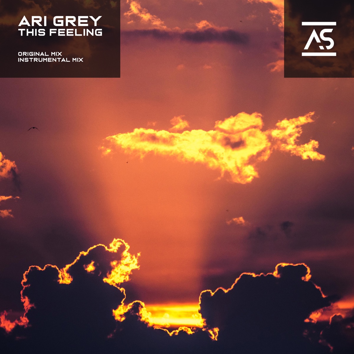 This Feeling - EP by Ari Grey album cover