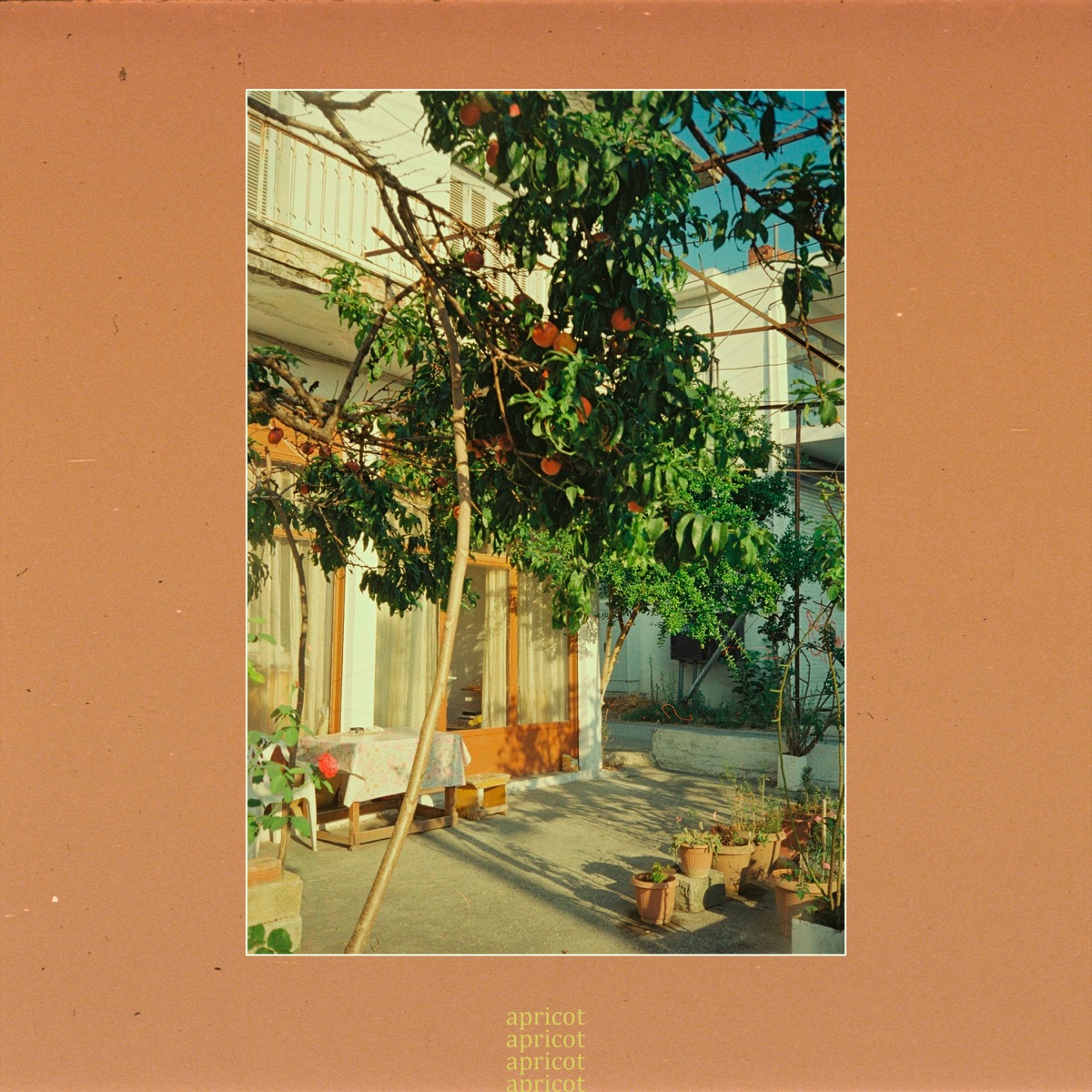 Apricot - Single by Limid, Terfak & Limido album cover