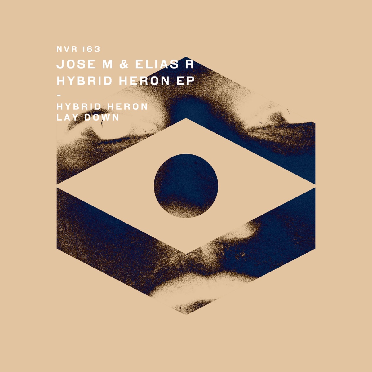 Hybrid Heron - Single by Jose M & Elias R album cover