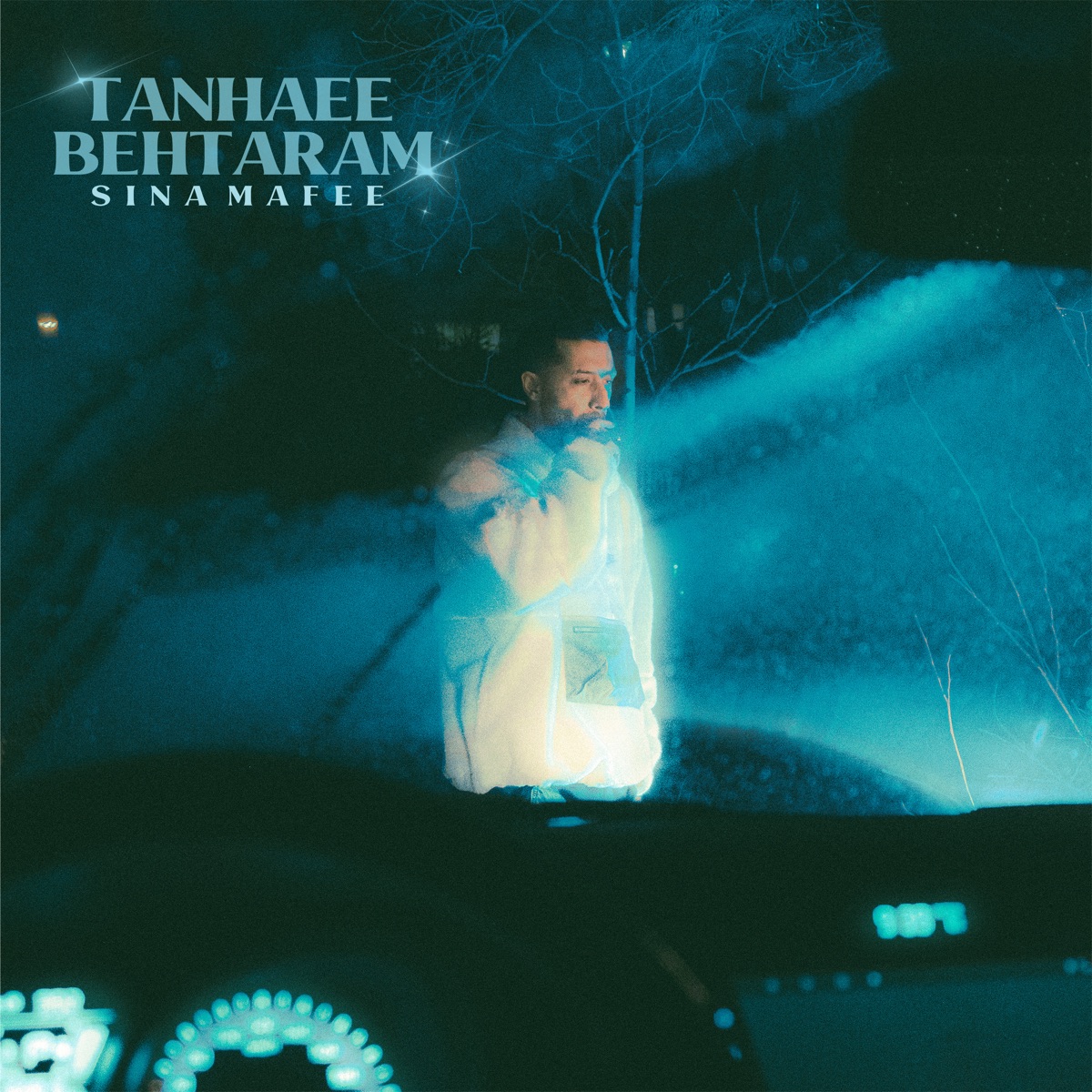 Tanhaee Behtaram - Single by Sina Mafee album cover