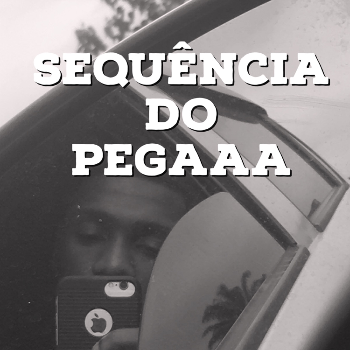 SEGUENCIA DO PEGA VS VAI COMEÇAR - Single by DJ Elyce album cover