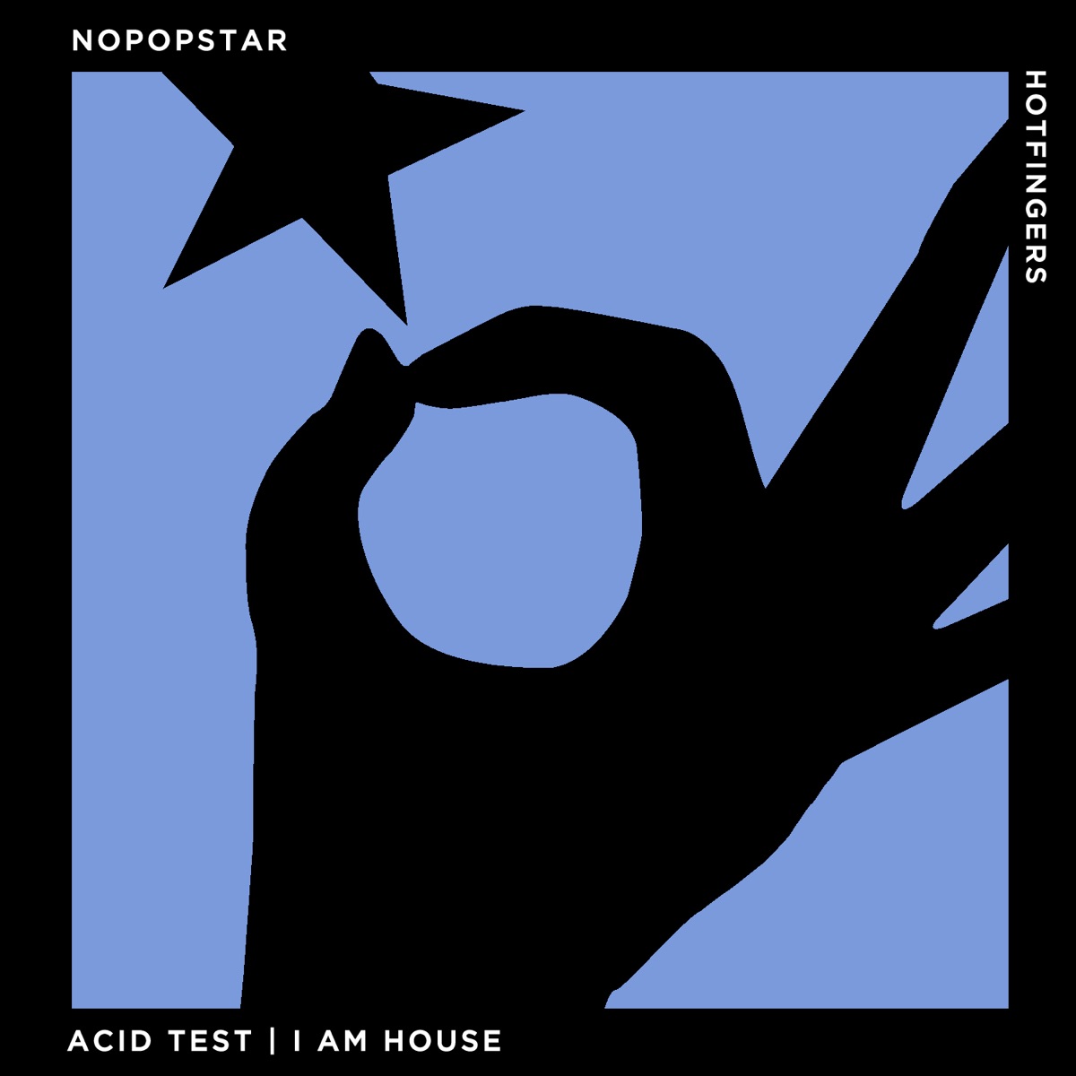 Acid Test  I Am House - Single by Nopopstar album cover