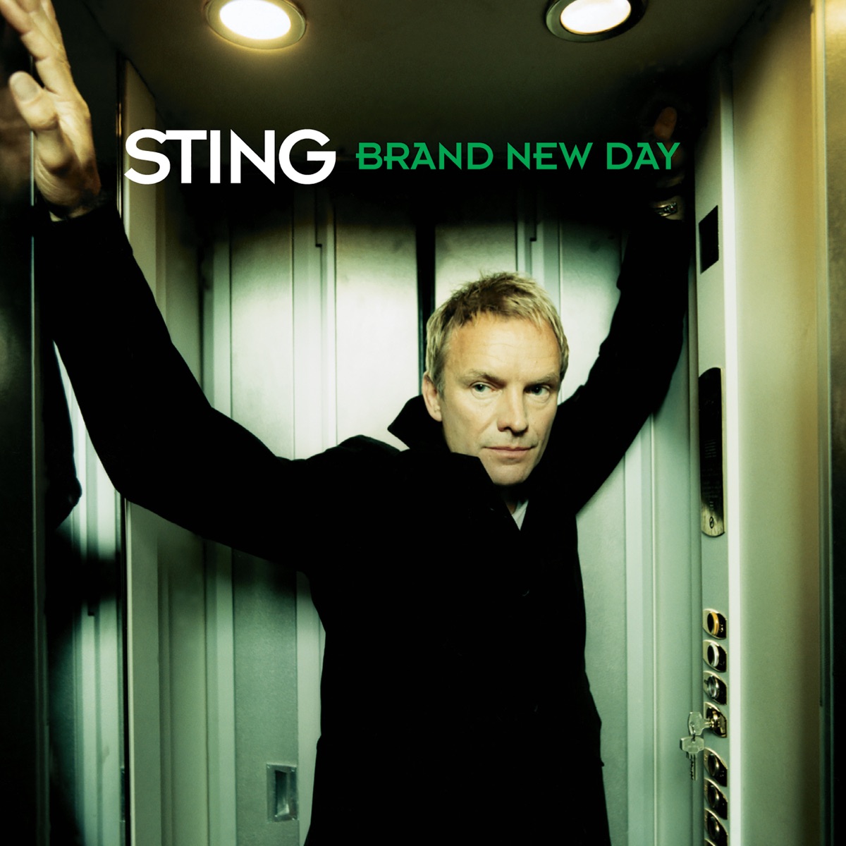 Brand New Day by Sting album cover