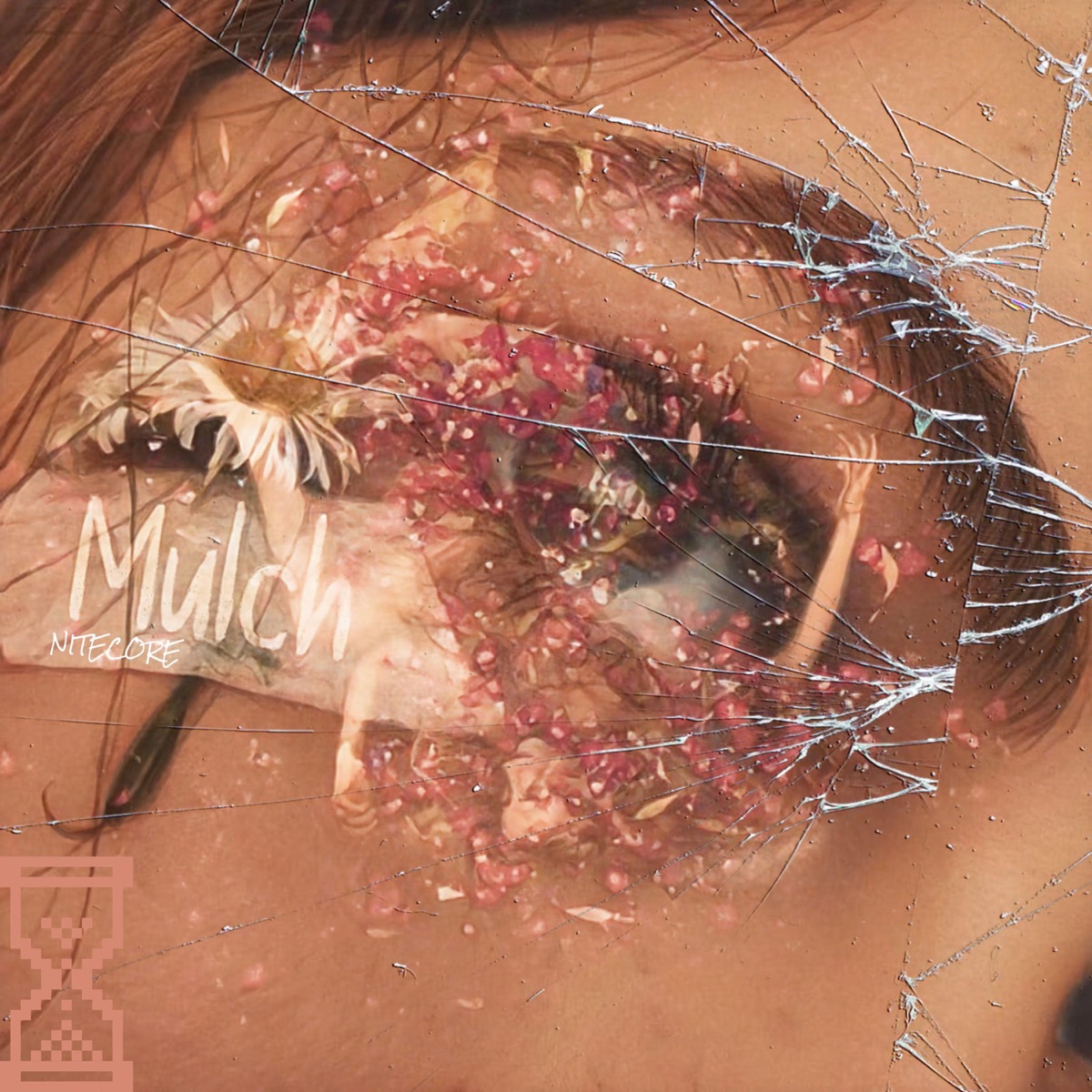 Mulch (NITECORE) - Single by Timeless Archive album cover