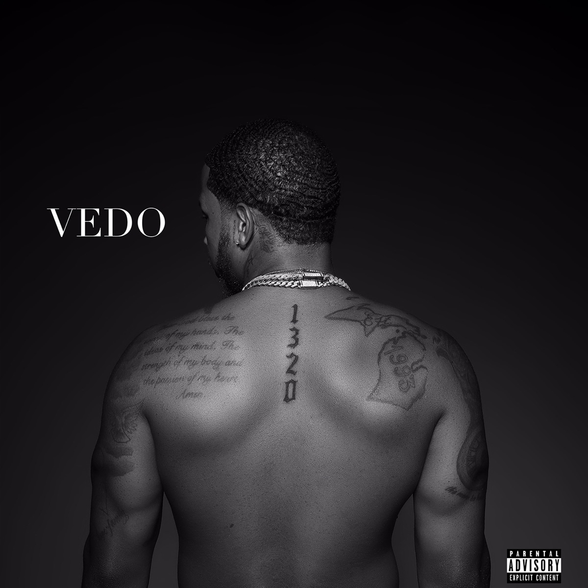 1320 by VEDO album cover