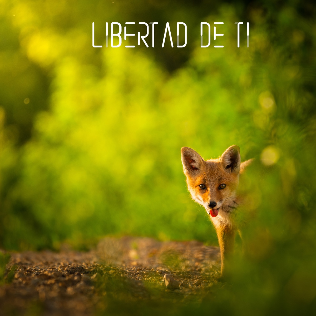 Libertad de Ti - Single by Nox album cover