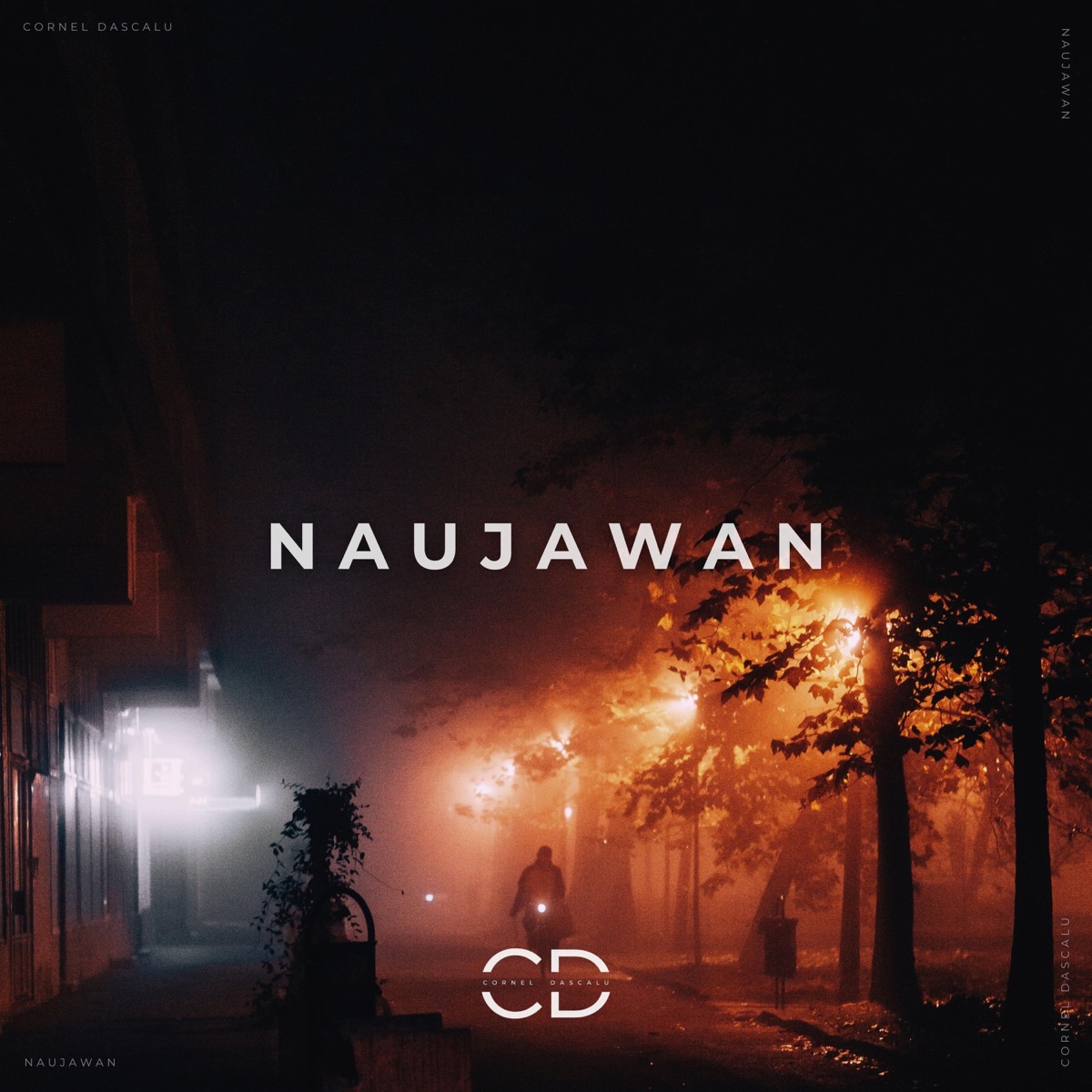 Naujawan - Single by Cornel Dascalu album cover