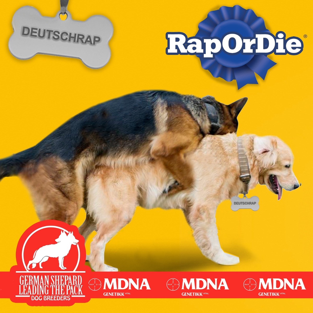 RAP OR DIE - Single by Genetikk album cover