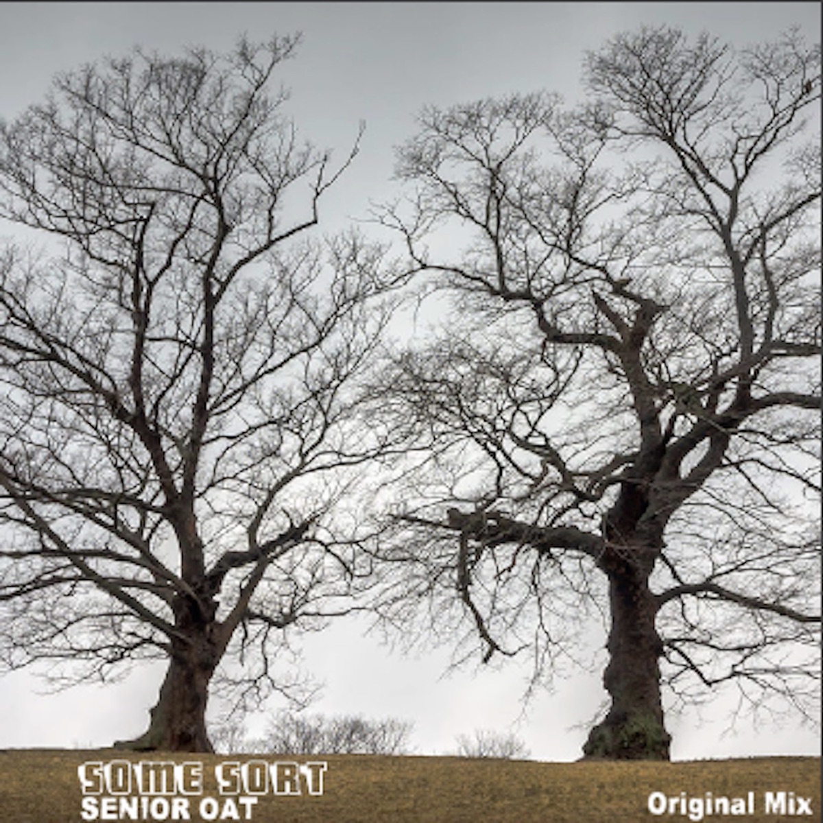 Some Sort - Single by Senior Oat album cover
