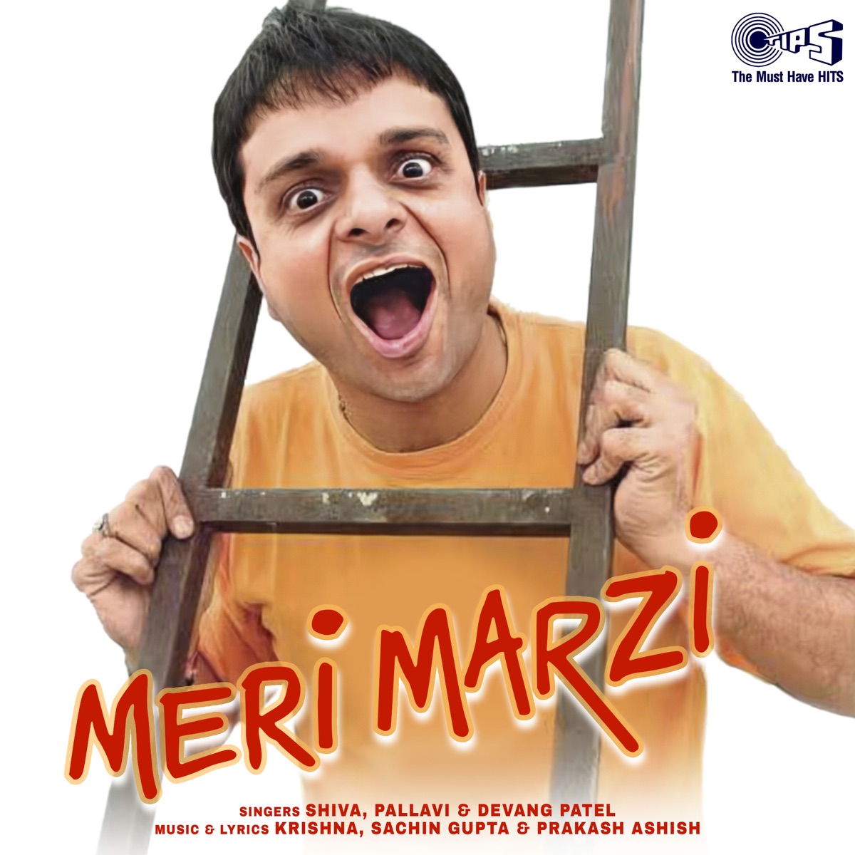 Meri Marji by Shiva, Pallavi & Devang Patel album cover