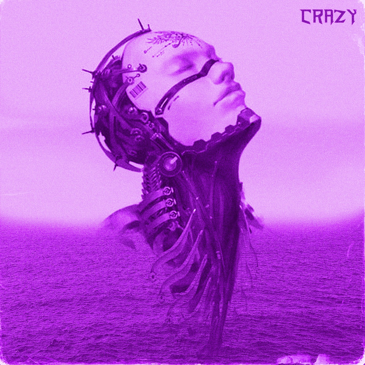 CRAZY (Slowed + Reverb) - Single by Manuh Ganjadrink & Kowbra album cover