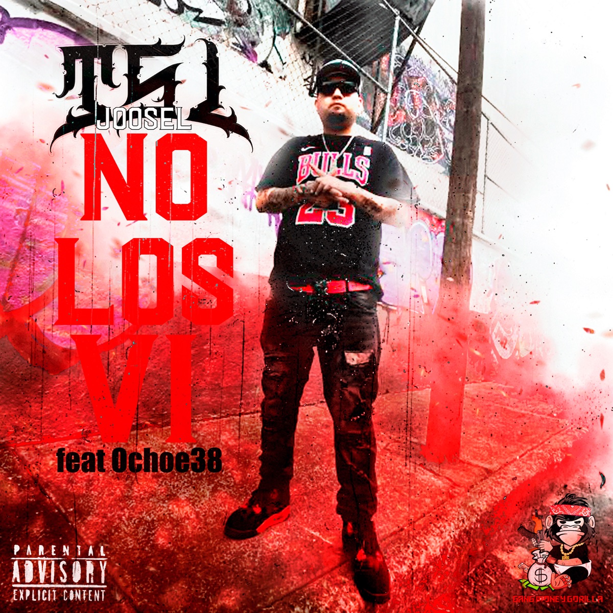 No los Ví (feat. Ochoe38) - Single by JSL Joosel album cover