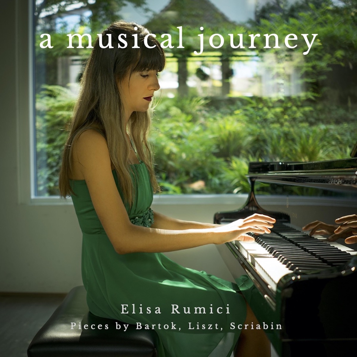 A musical journey by Elisa Rumici album cover