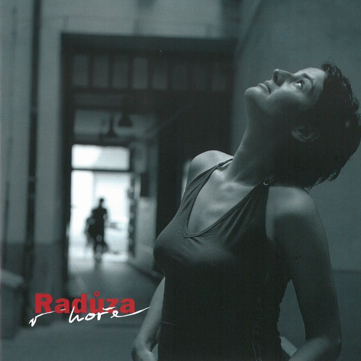V hoře by Raduza album cover