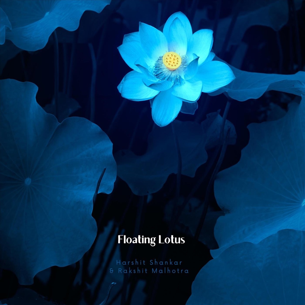 Floating Lotus - Single by Harshit Shankar & Rakshit Malhotra album cover