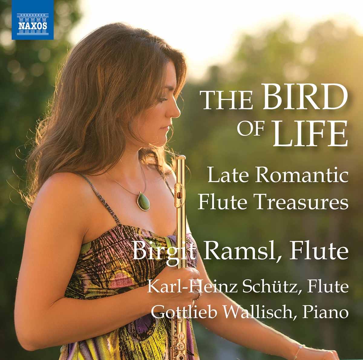 The Bird of Life by Birgit Ramsl, Karl-Heinz Schütz & Gottlieb Wallisch album cover