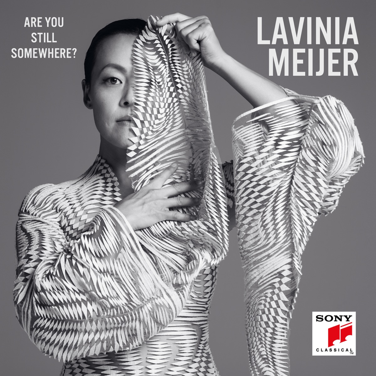 Are You Still Somewhere? by Lavinia Meijer album cover