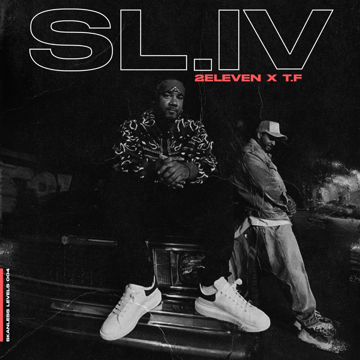 Skanless Levels 4 by 2 Eleven & T.F album cover