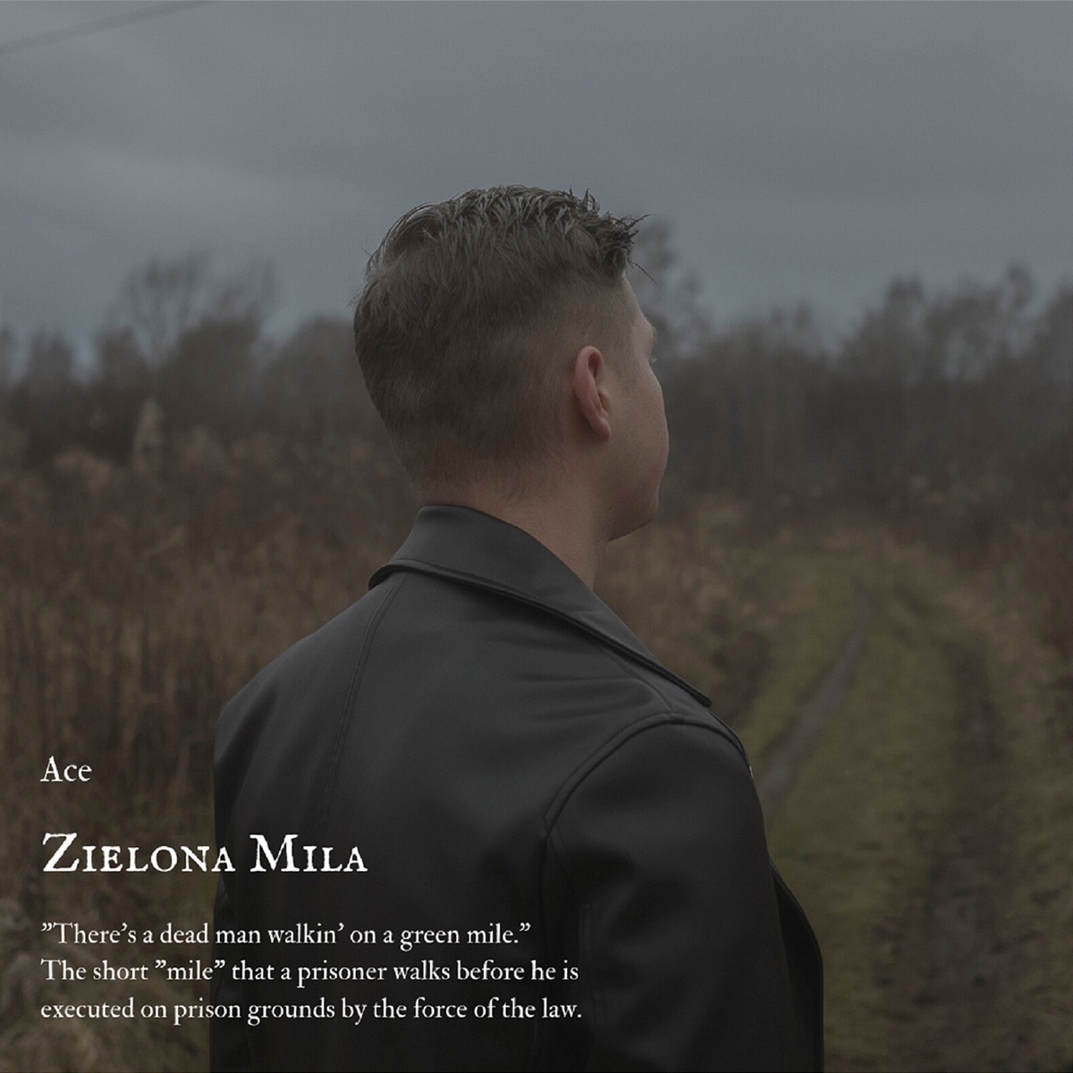 Zielona Mila - Single by Ace Dean album cover