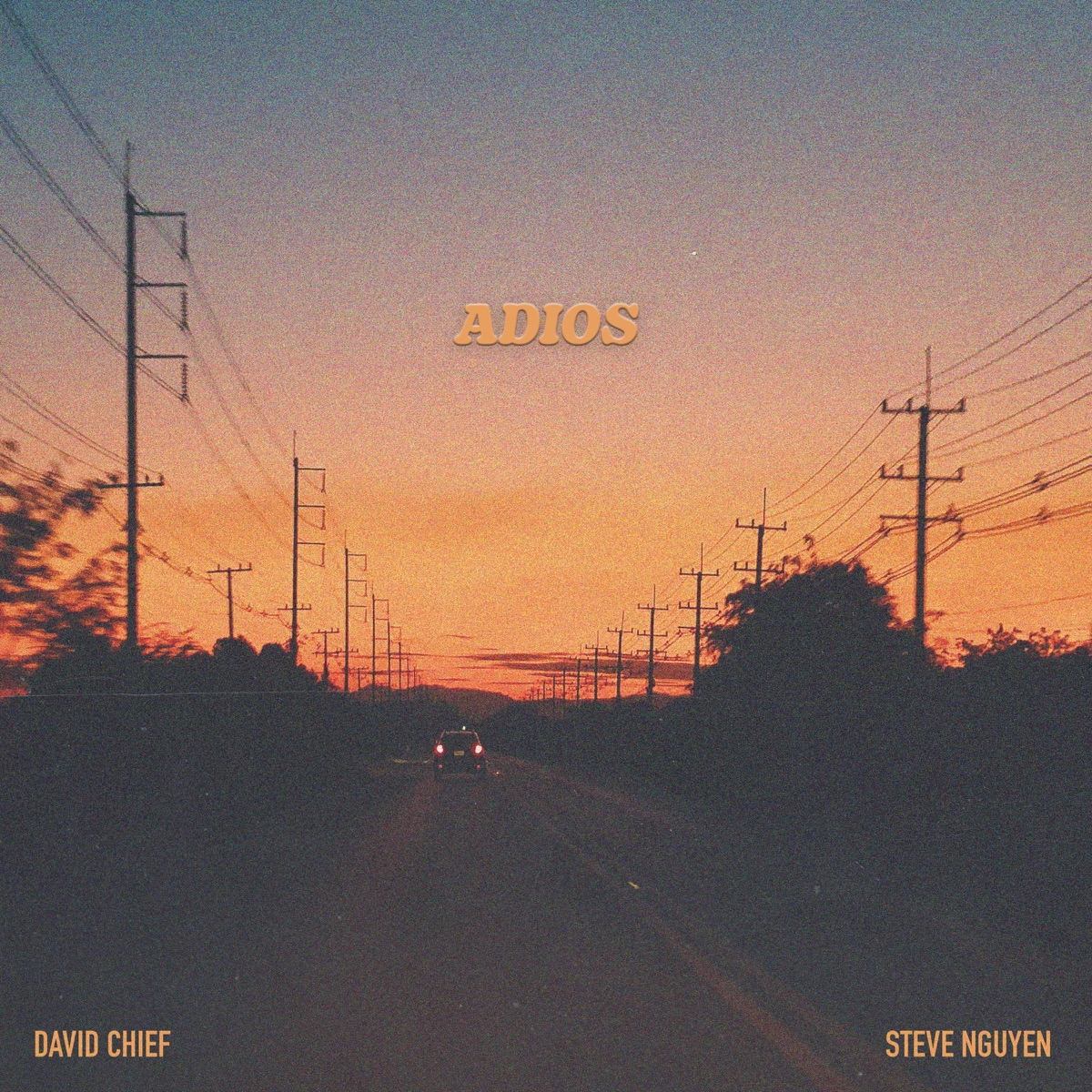 Adios - Single by David Chief & Steve Nguyen album cover