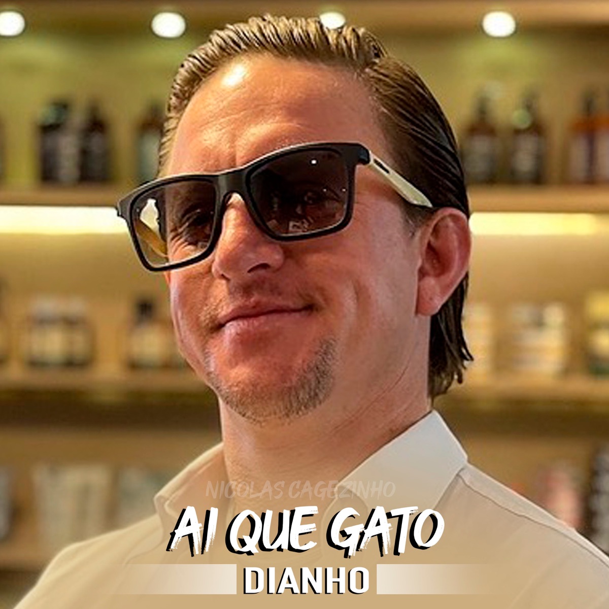Ai que gato Nicolas Cagezinho - Single by Dianho & Pointhits album cover
