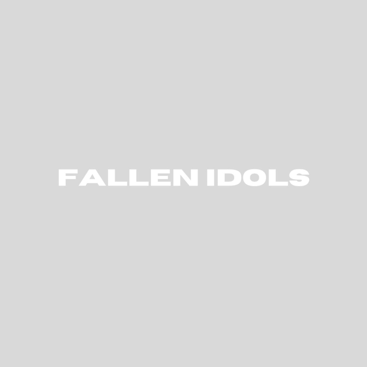 Fallen Idols - Single by k1nda album cover