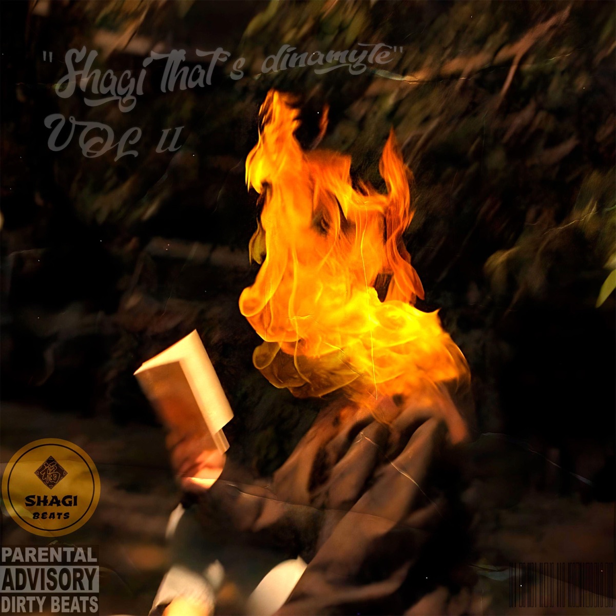 "Shagi that's dynamite" VOL II - EP by Shagi fú album cover