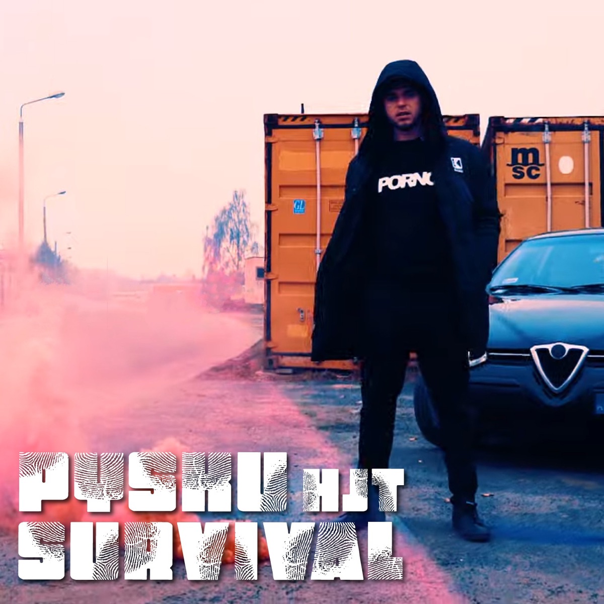 Survival (feat. Ceha) - Single by Pysku album cover