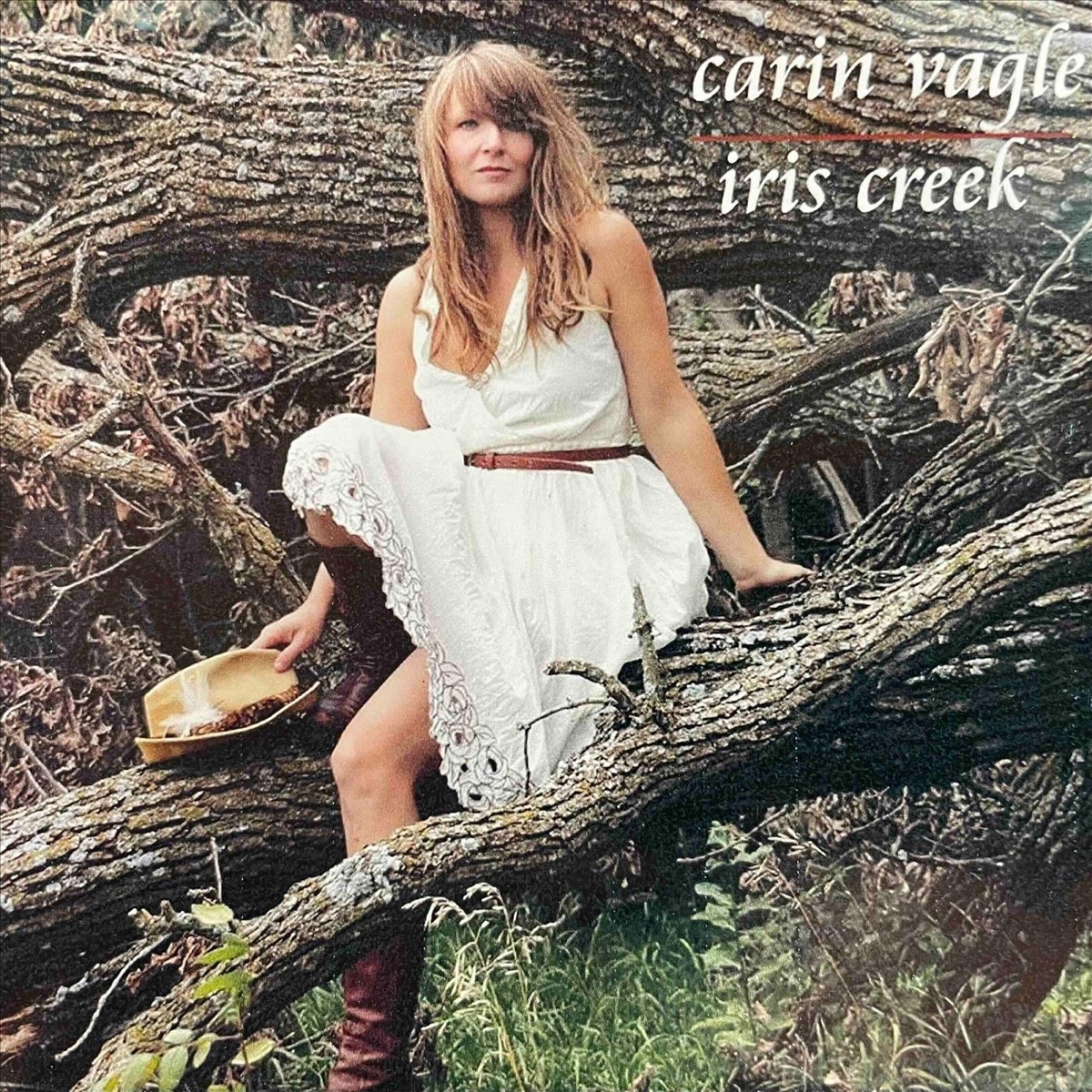 Iris Creek by Carin Vagle, Jeffrey Moon, Benjamin Wogsland, Marc Anderson, Pat Frederick, Enrique Toussaint & Dan Schwartz album cover