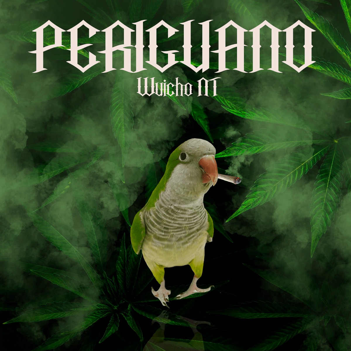 Periguano - Single by Wuicho Nt album cover