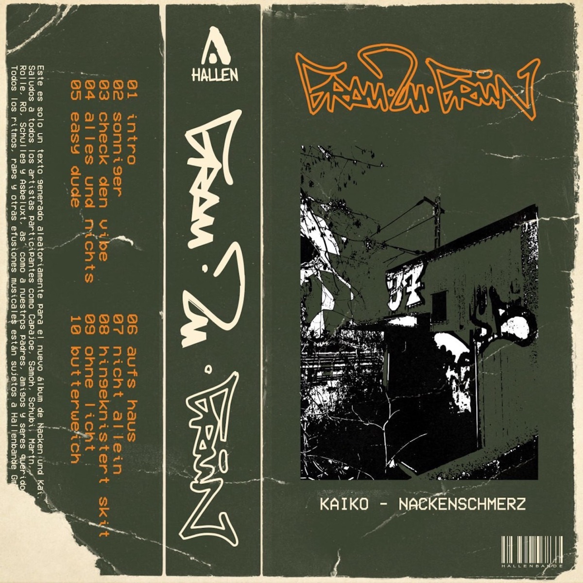 Grau zu grün by Kaiko & Nackenschmerz album cover