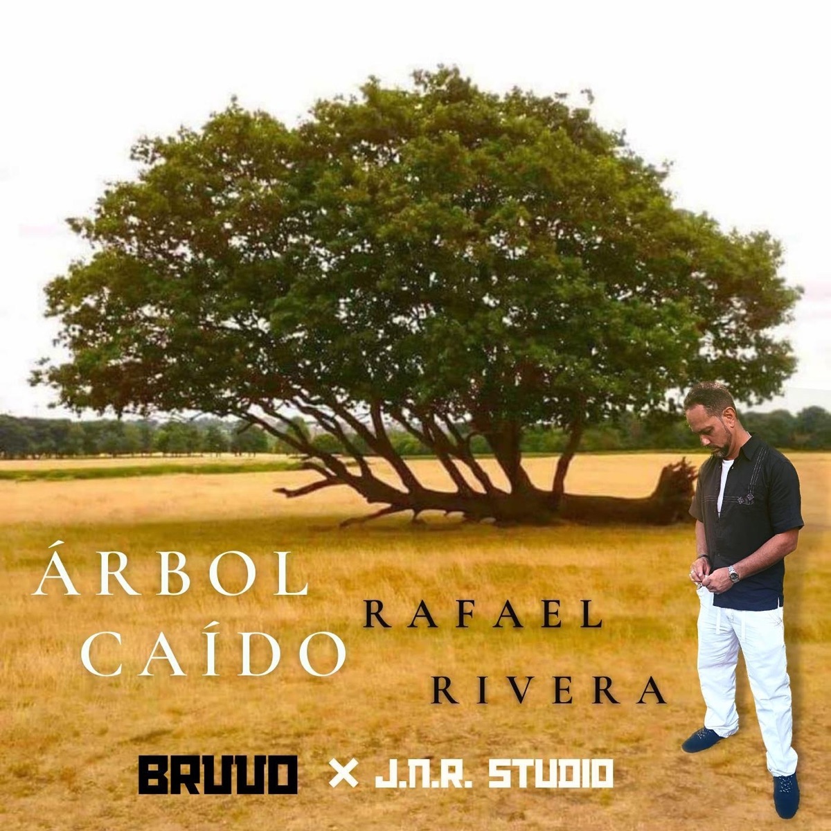 Árbol Caido - Single by Rafael Rivera album cover