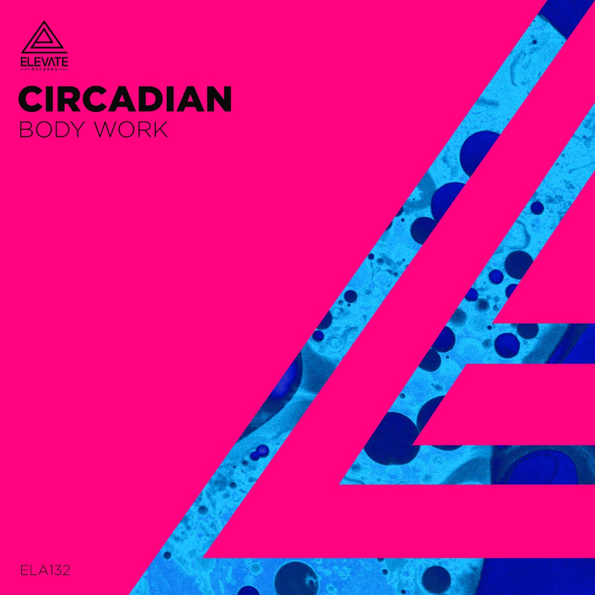 Body Work - Single by Circadian album cover