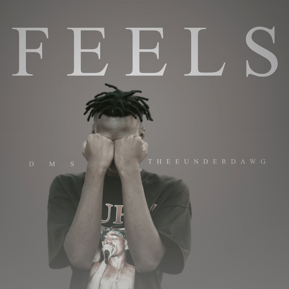 Feels - Single by DMS THEEUNDERDAWG album cover