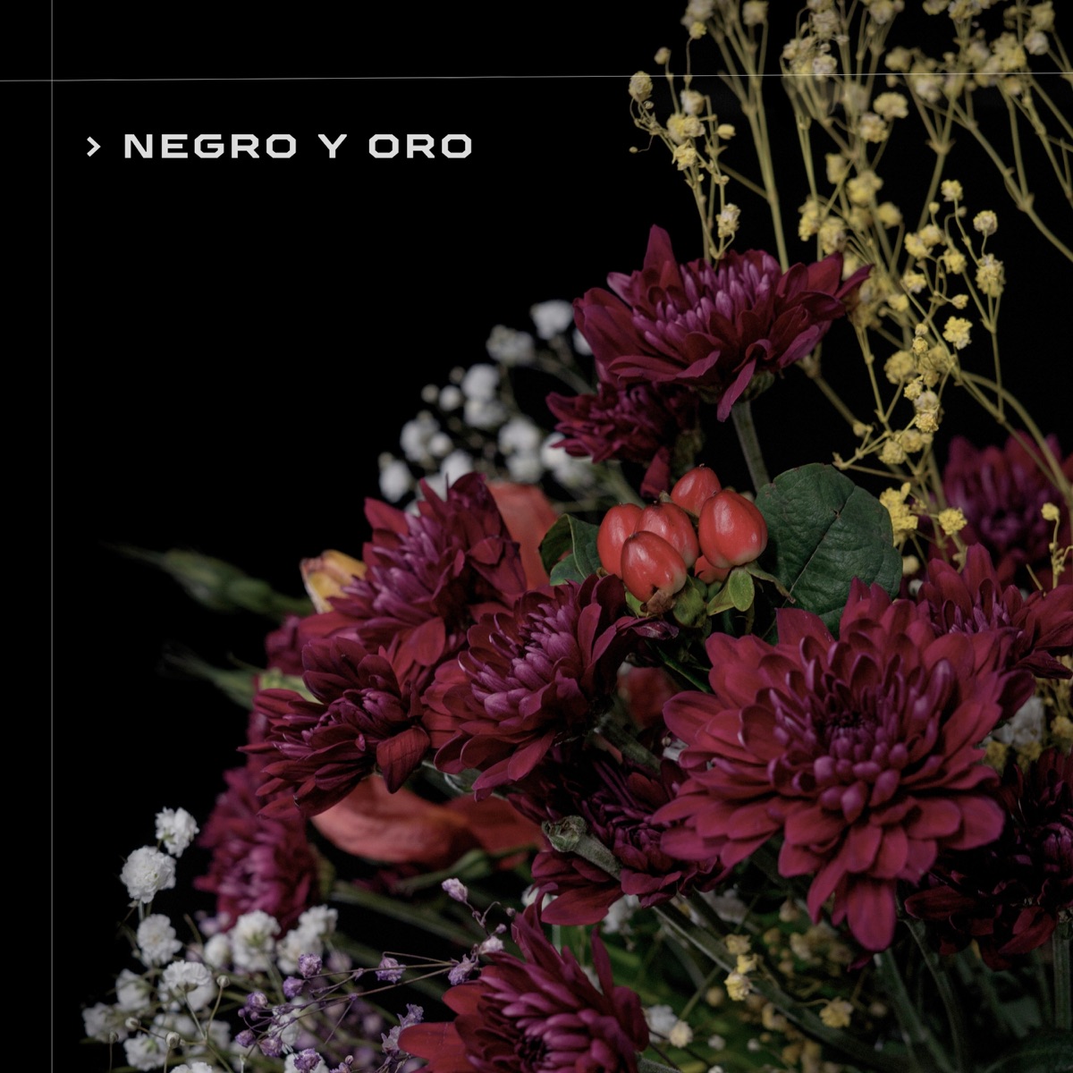 Negro y oro - Single by Ebensai album cover