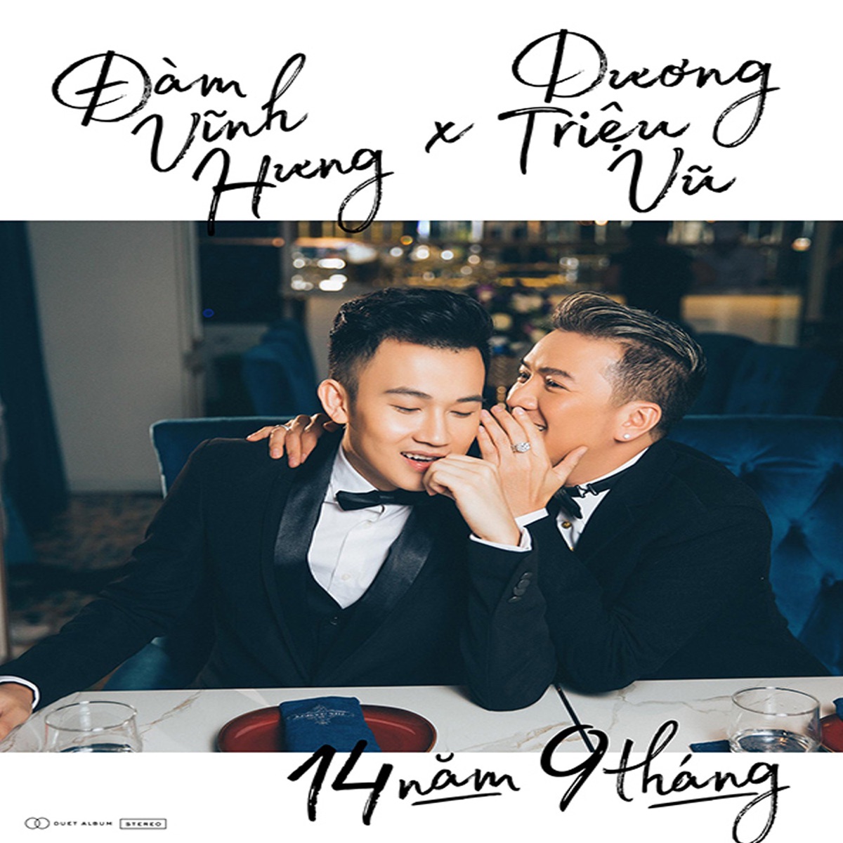 14 Năm 9 Tháng by Đàm Vĩnh Hưng & Dương Triệu Vũ album cover