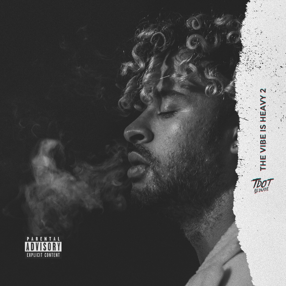 The Vibe Is Heavy 2 by Tdot Illdude album cover