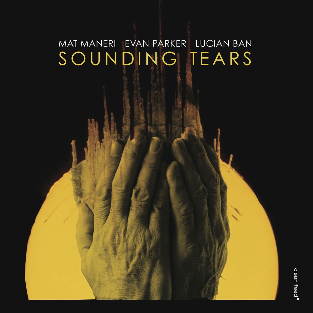 Sounding Tears by Mat Maneri, Evan Parker & Lucian Ban album cover